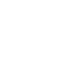 logo small inverse